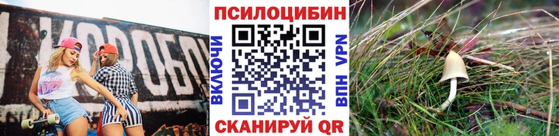 omg зеркало  Лобня  Псилоцибиновые грибы ЛСД  продажа наркотиков 