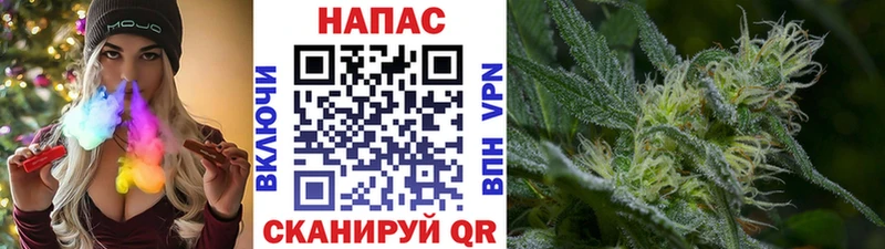 Марихуана конопля Лобня
